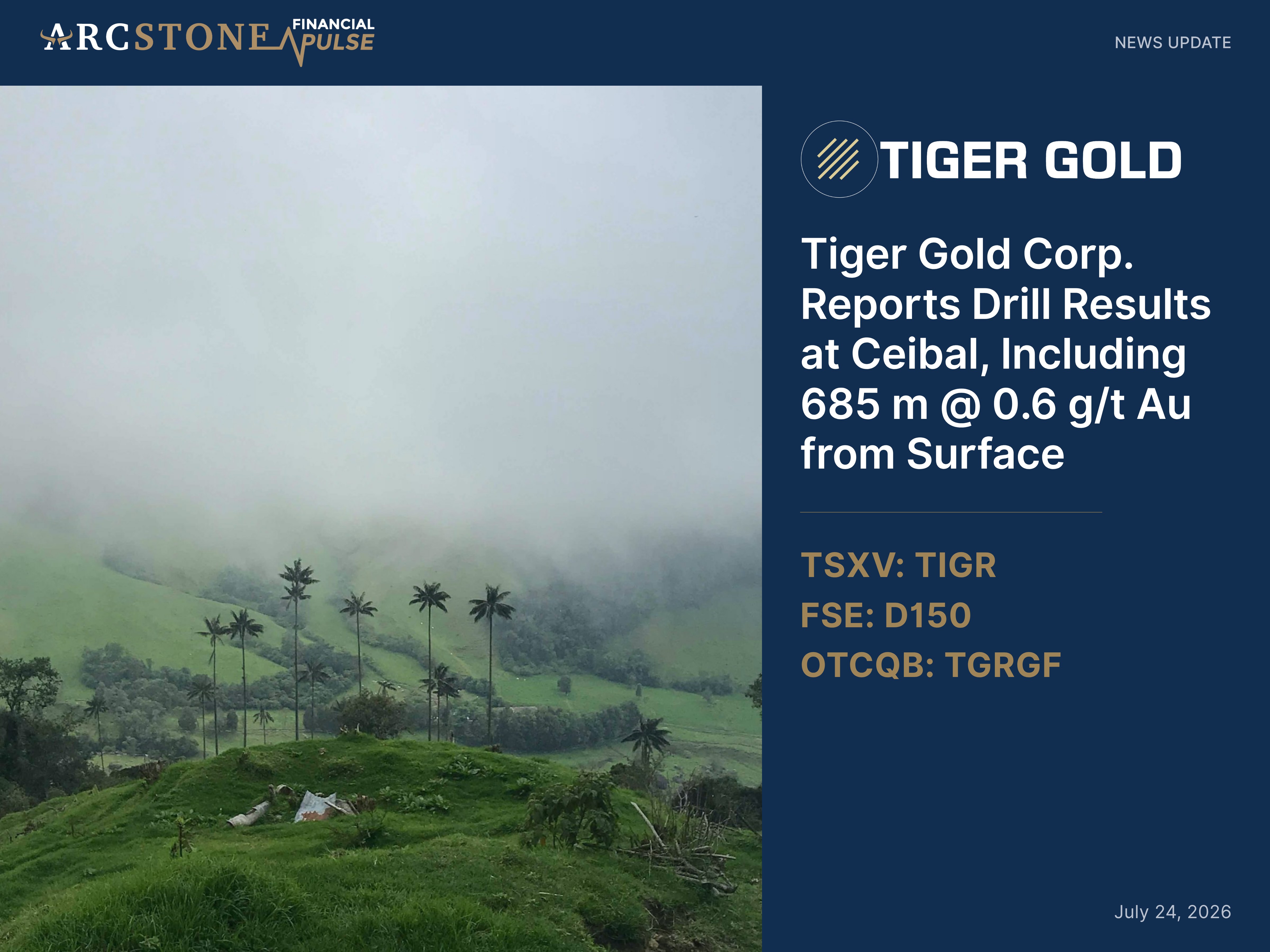 Tiger Gold Corp. Reports Drill Results at Ceibal, Including 685 m @ 0.6 g/t Au from Surface